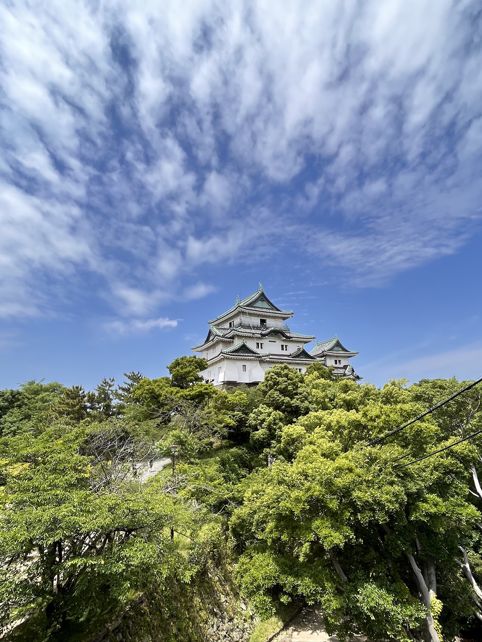 Wakayama Castle